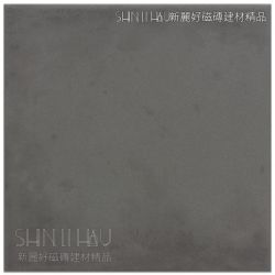 Z006VV234483500