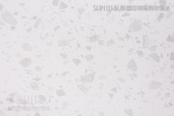 P309NT6136655440_01