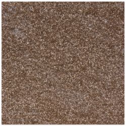 C306BM406950600