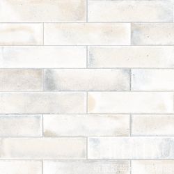 C506S3678DK1-283H25300