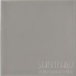 T406WOT160237500亮灰
