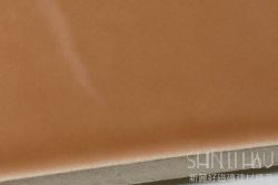T406WOT160437500_02亮橘