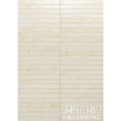 R206RO5500131800白亮