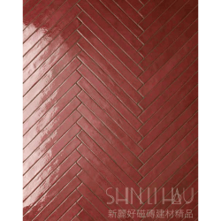 R206RO5500431800_01紅亮