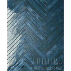 R206RO5500631800_01藍亮