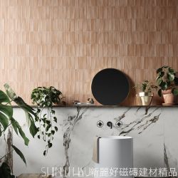珊瑚粉實景02