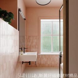珊瑚粉實景