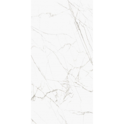 9299MP28598P亮面
